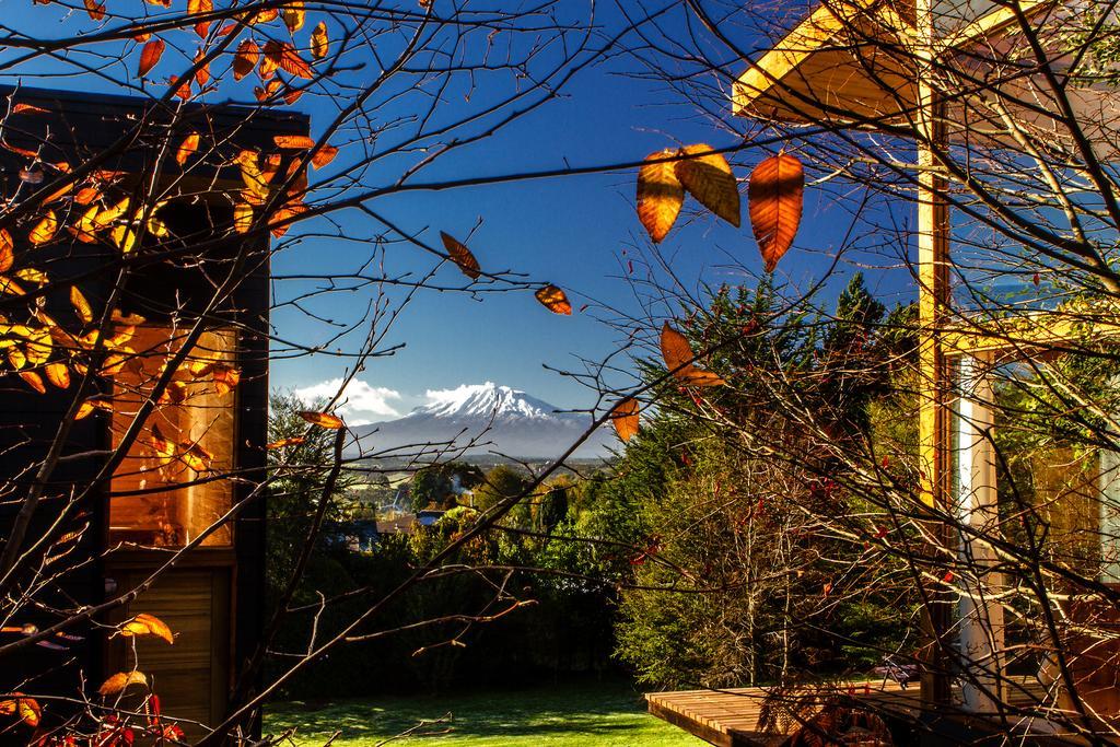 Vila Las Magnolias Lofts Puerto Varas Pokoj fotografie