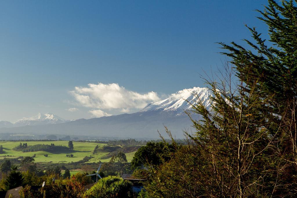 Vila Las Magnolias Lofts Puerto Varas Pokoj fotografie