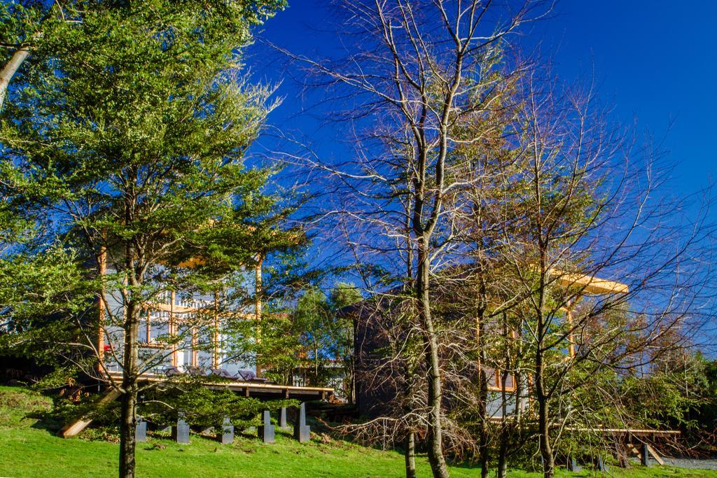 Vila Las Magnolias Lofts Puerto Varas Pokoj fotografie